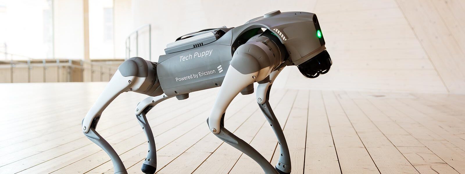 En robothund som står i trähallen