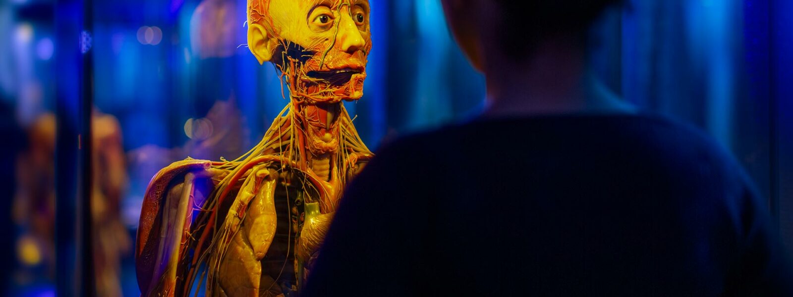 Skugga på barn som tittar på exoskelettet i Hyper human.