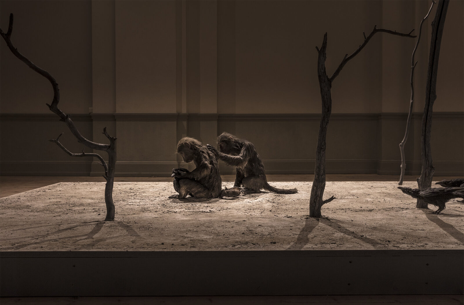 ett fotografi på två apor som sitter på en sandig yta, bilden är tagen av ett konstverk