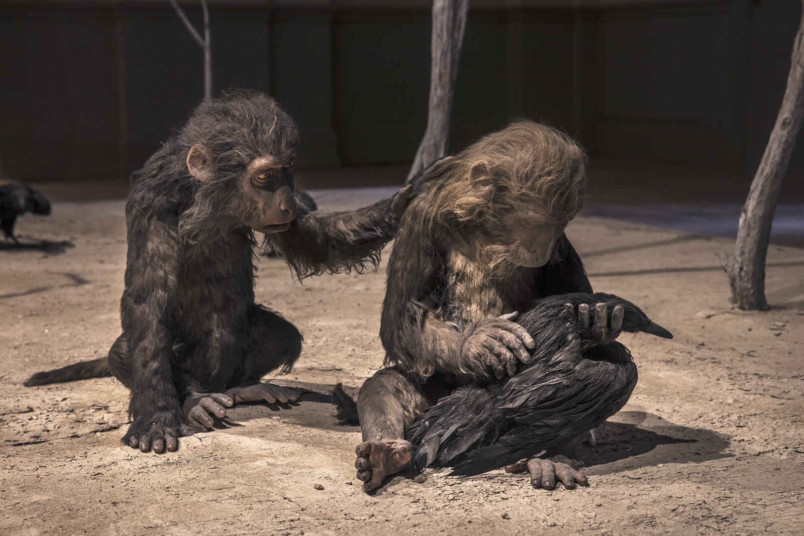 Ett fotografi på två apor, den ena klappar den andra, fotografiet är av ett konstverk