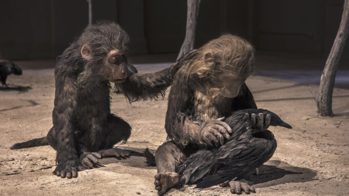 Ett fotografi på två apor, den ena klappar den andra, fotografiet är av ett konstverk